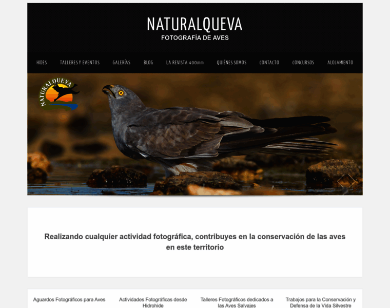 Naturalqueva.com thumbnail