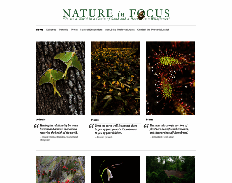 Natureinfocus.com thumbnail