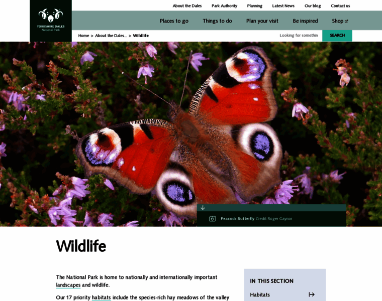 Natureinthedales.org.uk thumbnail