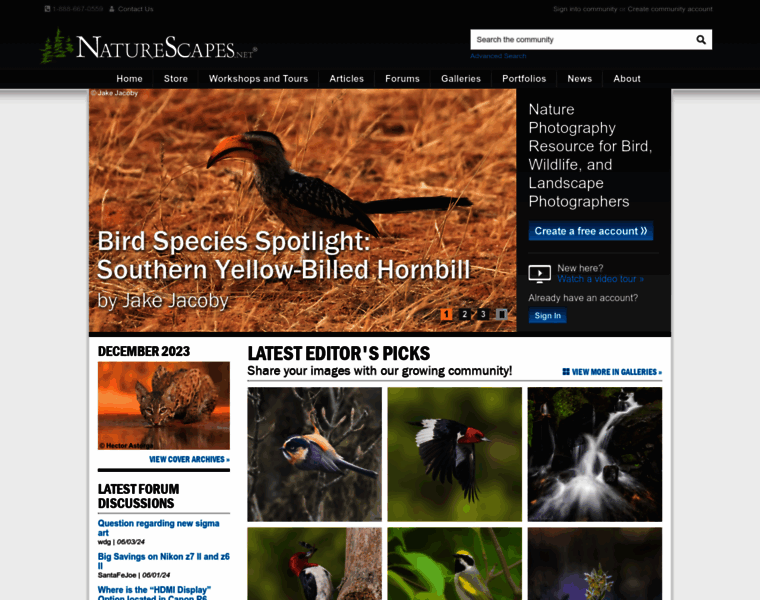 Naturescapes.net thumbnail