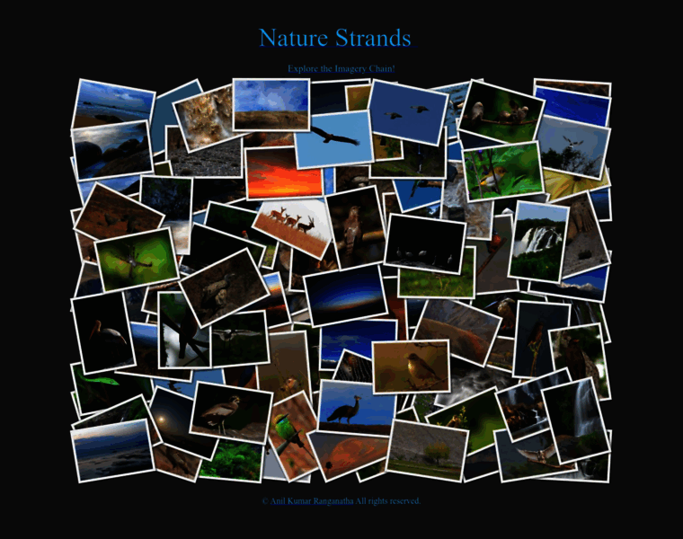 Naturestrands.com thumbnail