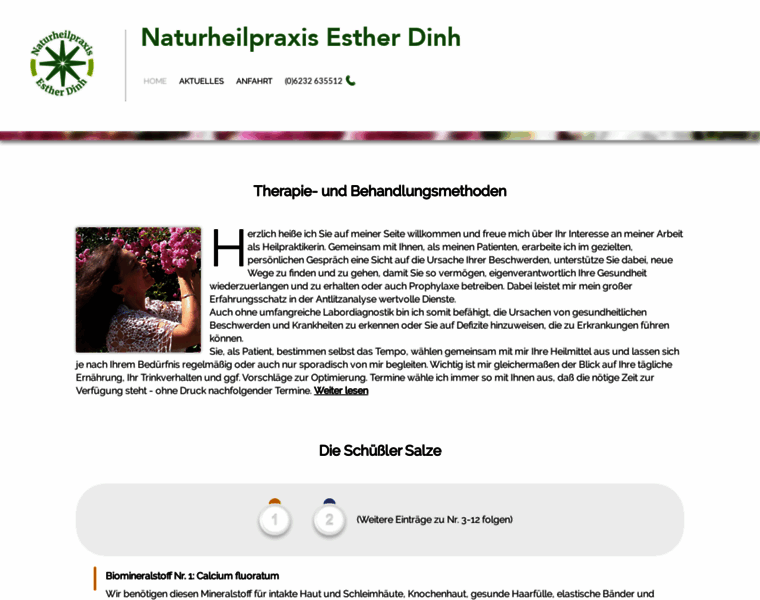 Naturheilpraxis-dinh.de thumbnail