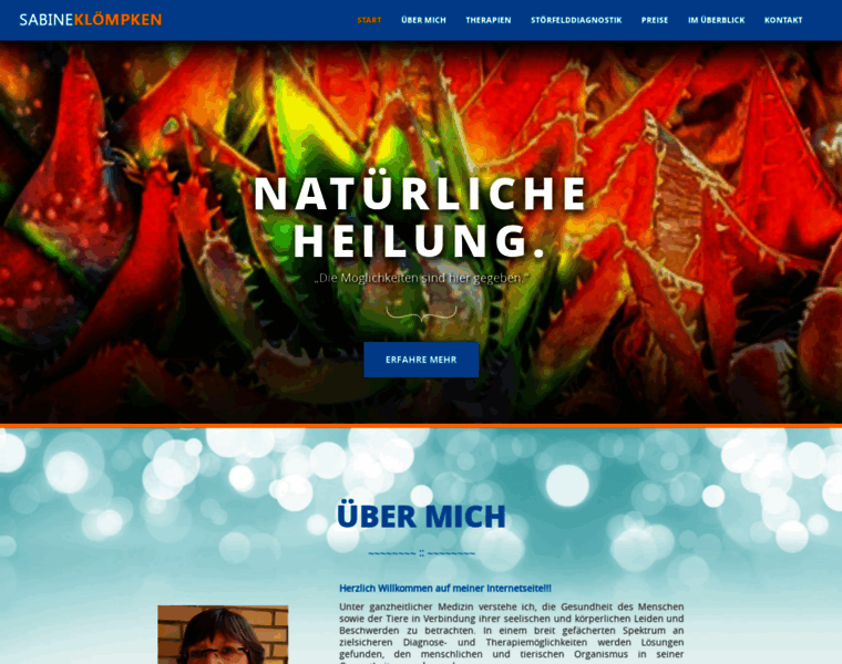 Naturheilpraxis-kloempken.de thumbnail