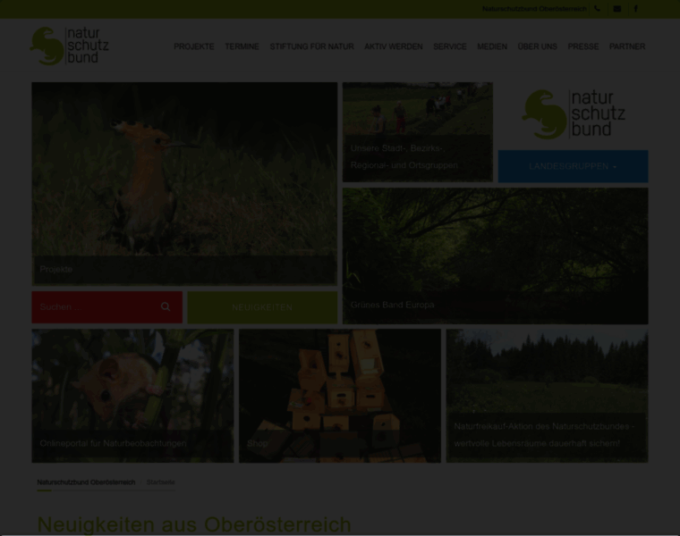 Naturschutzbund-ooe.at thumbnail
