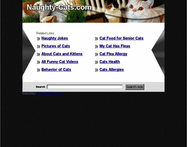 Naughty-cats.com thumbnail