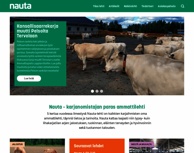 Nauta.fi thumbnail
