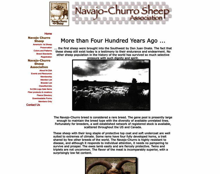 Navajo-churrosheep.com thumbnail