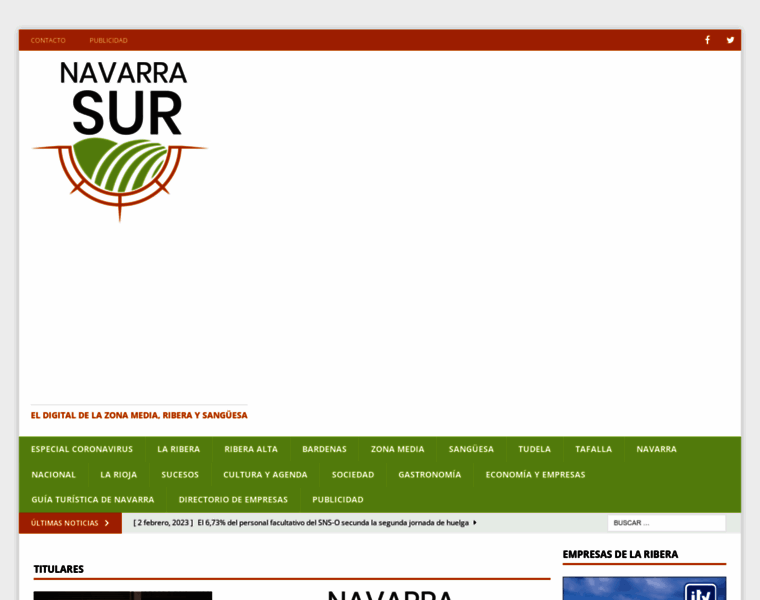 Navarrasur.es thumbnail