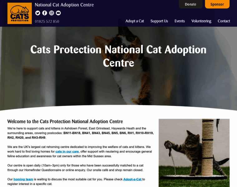 Ncac.cats.org.uk thumbnail