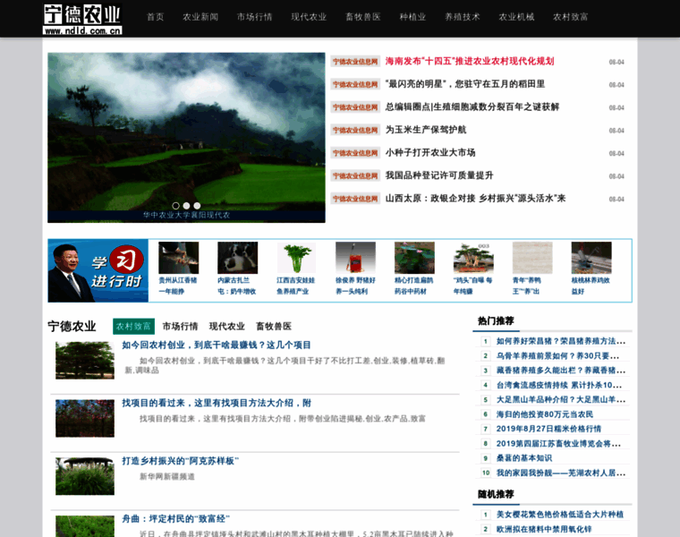 Ndld.com.cn thumbnail