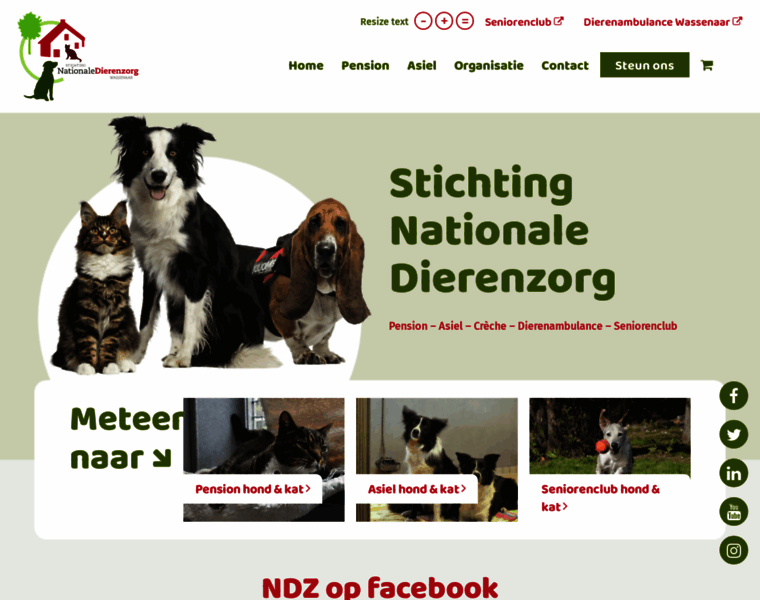 Ndz.nl thumbnail