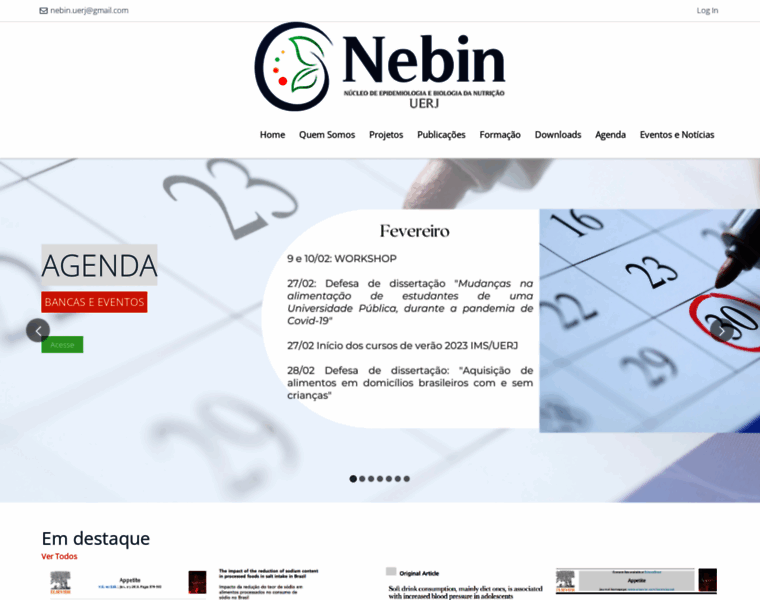 Nebin.com.br thumbnail