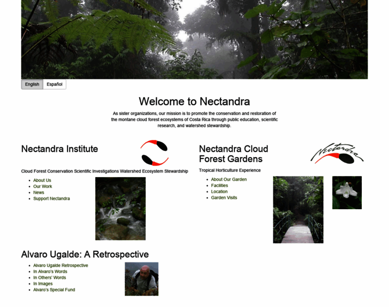Nectandra.org thumbnail