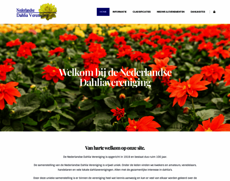 Nederlandsedahliavereniging.nl thumbnail