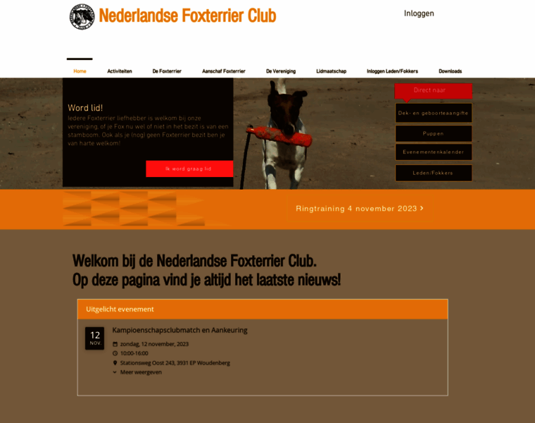 Nederlandsefoxterrierclub.nl thumbnail