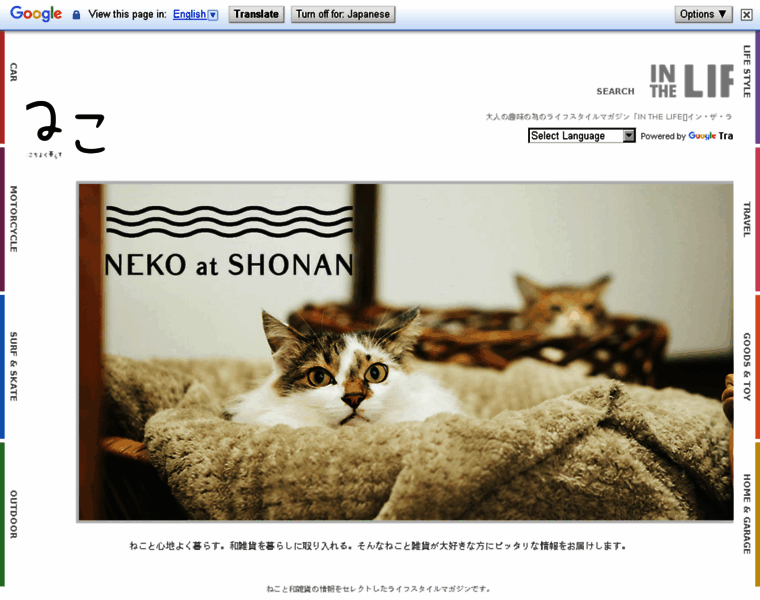 Neko-mag.com thumbnail