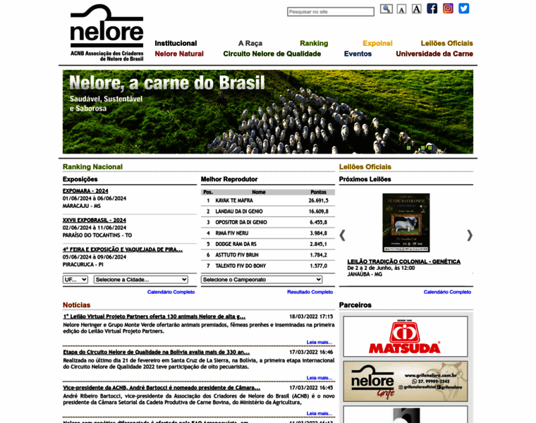Nelore.org.br thumbnail