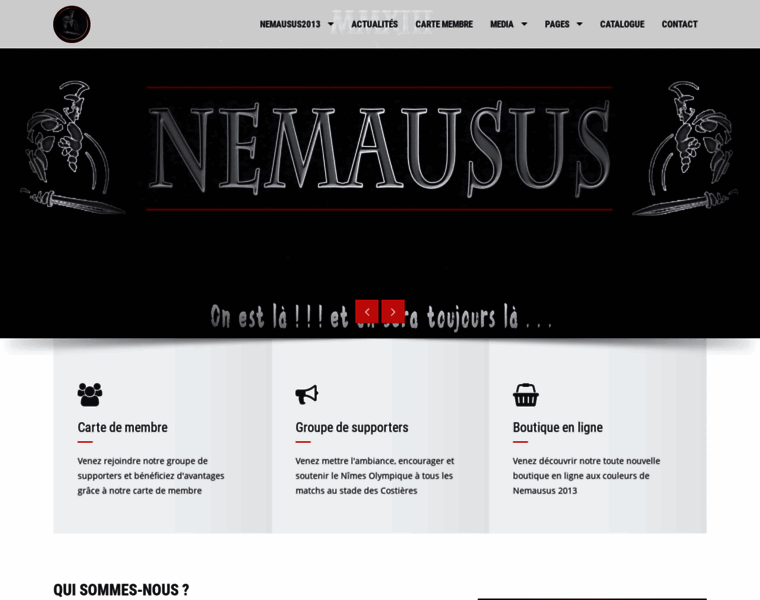 Nemausus2013.com thumbnail