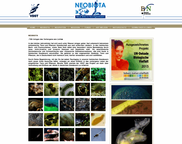 Neobiota.info thumbnail