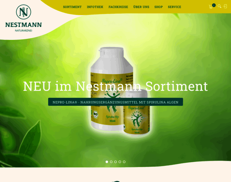 Nestmann.de thumbnail