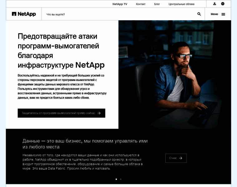 Netapp.ru thumbnail