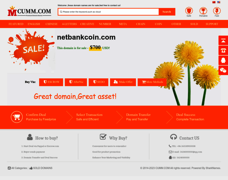Netbankcoin.com thumbnail