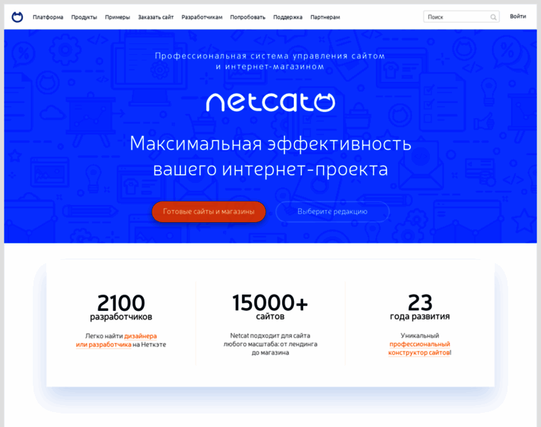 Netcat.ru thumbnail