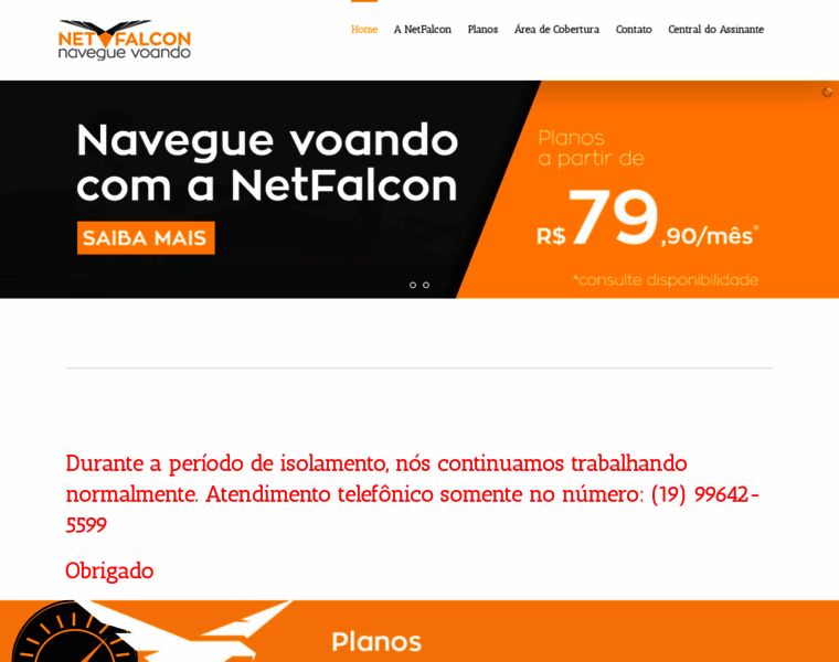 Netfalcon.com.br thumbnail