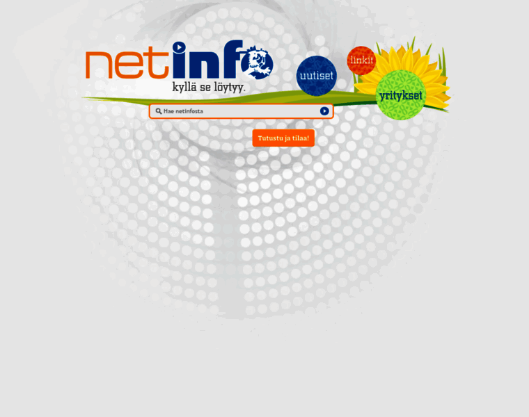 Netinfo.fi thumbnail
