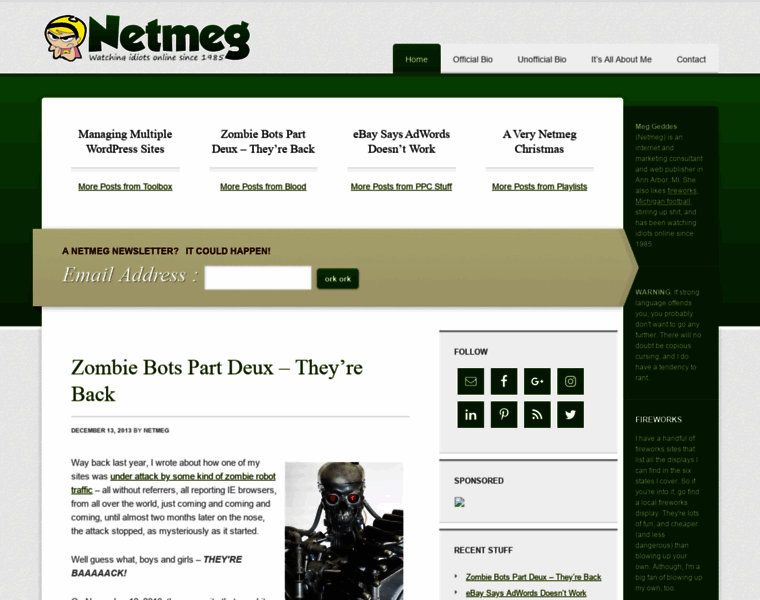 Netmeg.com thumbnail