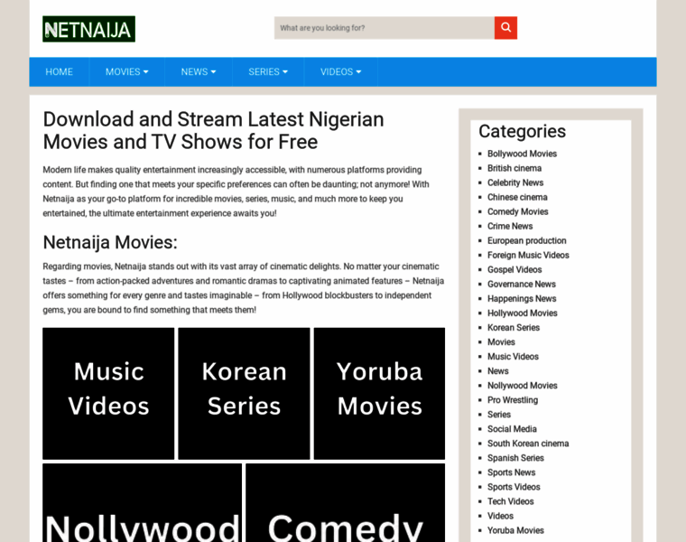 Netnaija.us thumbnail