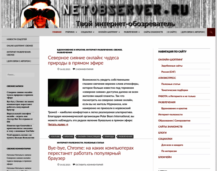 Netobserver.ru thumbnail