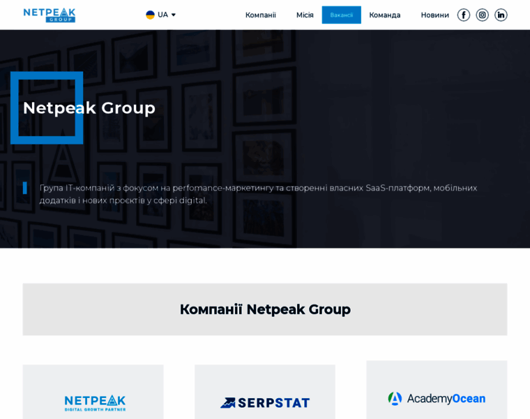 Netpeak.group thumbnail