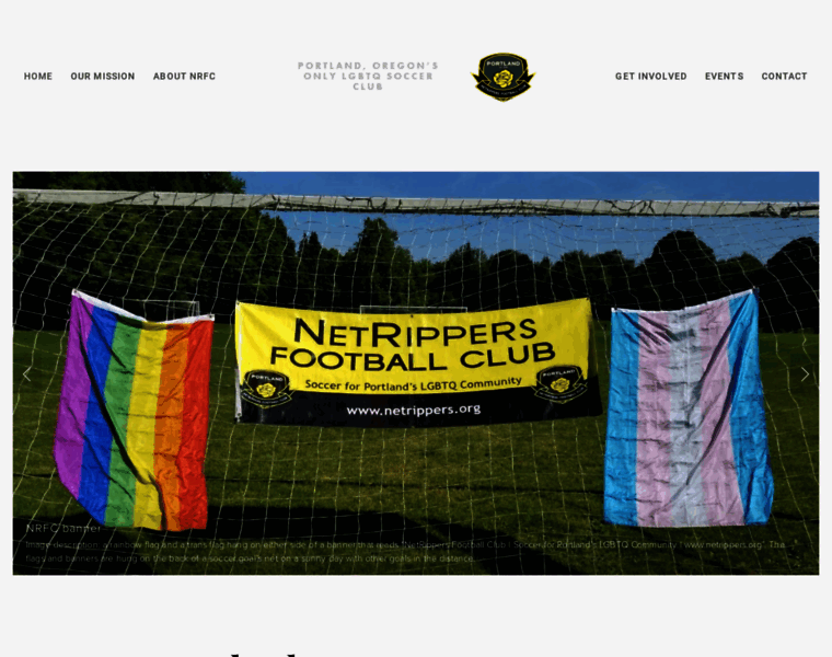 Netrippers.org thumbnail