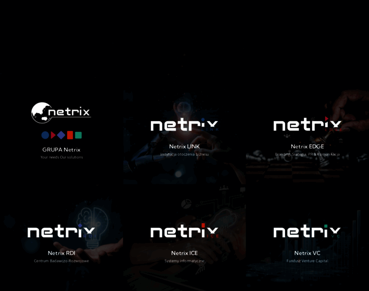 Netrix.com.pl thumbnail