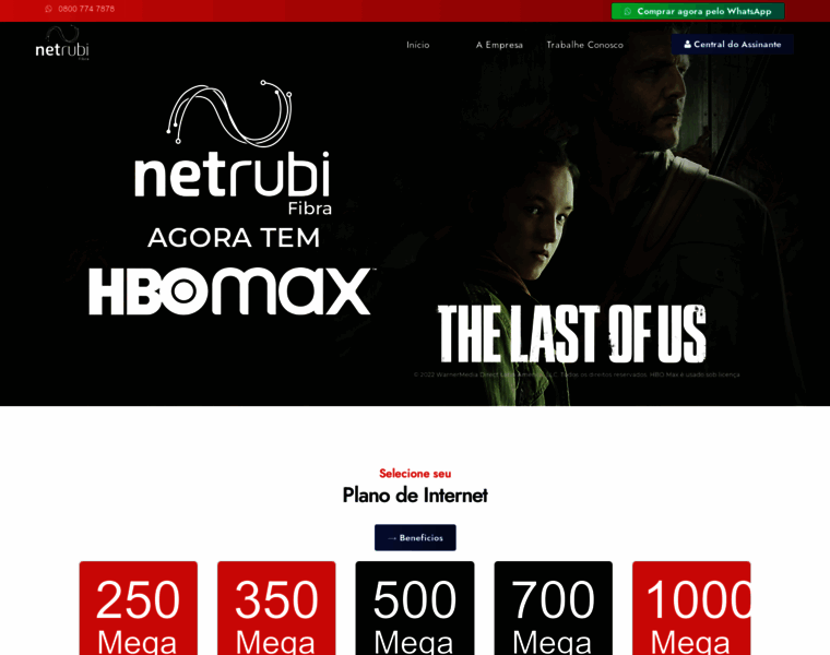 Netrubifibra.com.br thumbnail