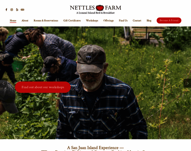 Nettlesfarm.com thumbnail