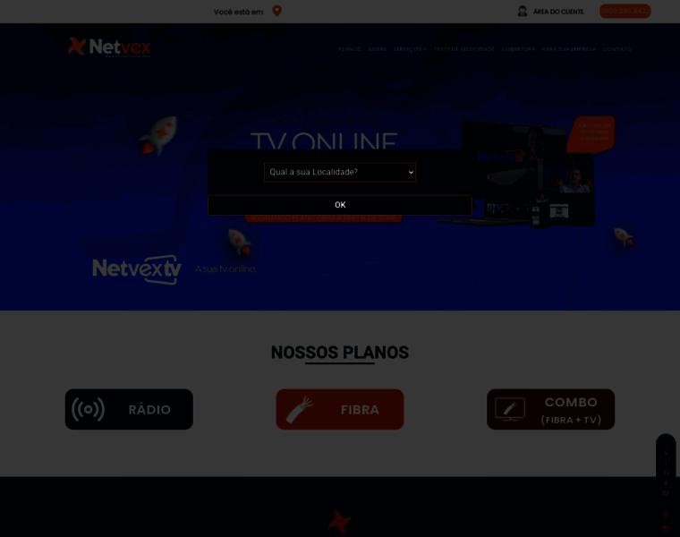 Netvex.net thumbnail