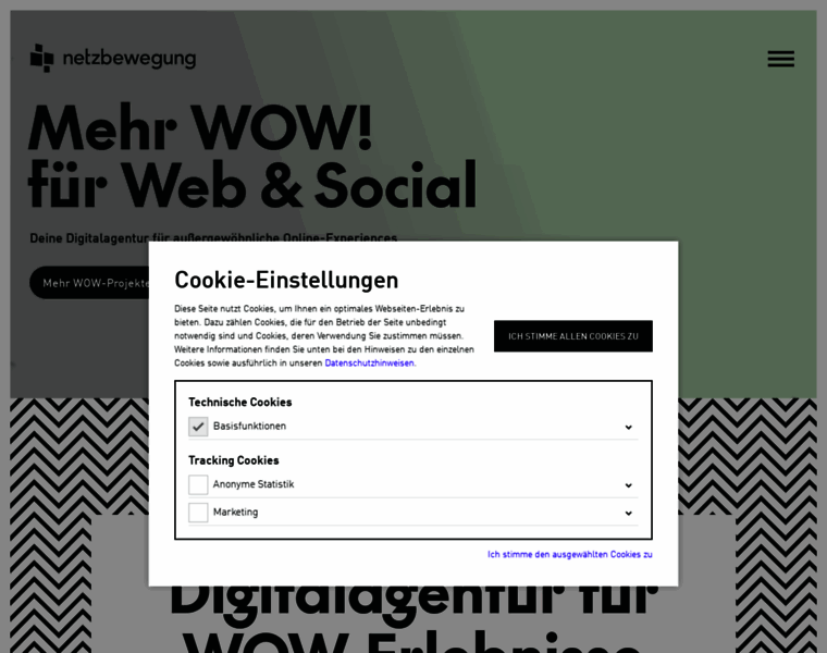 Netzbewegung.com thumbnail