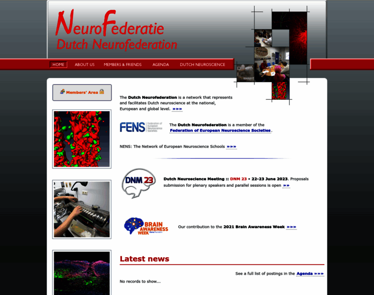 Neurofederatie.nl thumbnail