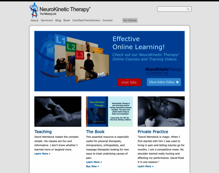 Neurokinetictherapy.com thumbnail