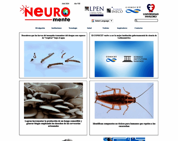Neuromente.net thumbnail