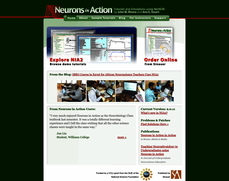 Neuronsinaction.com thumbnail