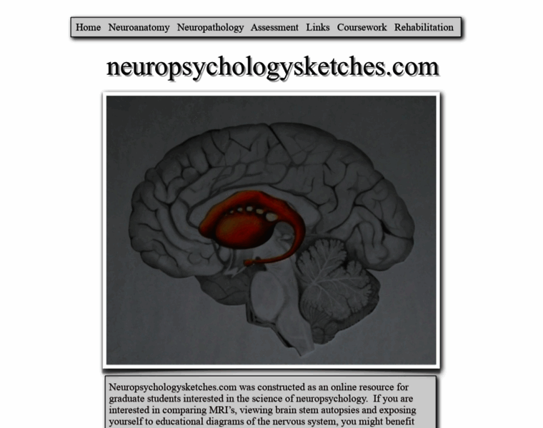 Neuropsychologysketches.com thumbnail