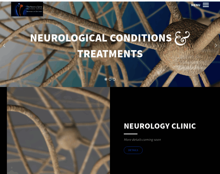 Neurospinewellnesscenter.com thumbnail