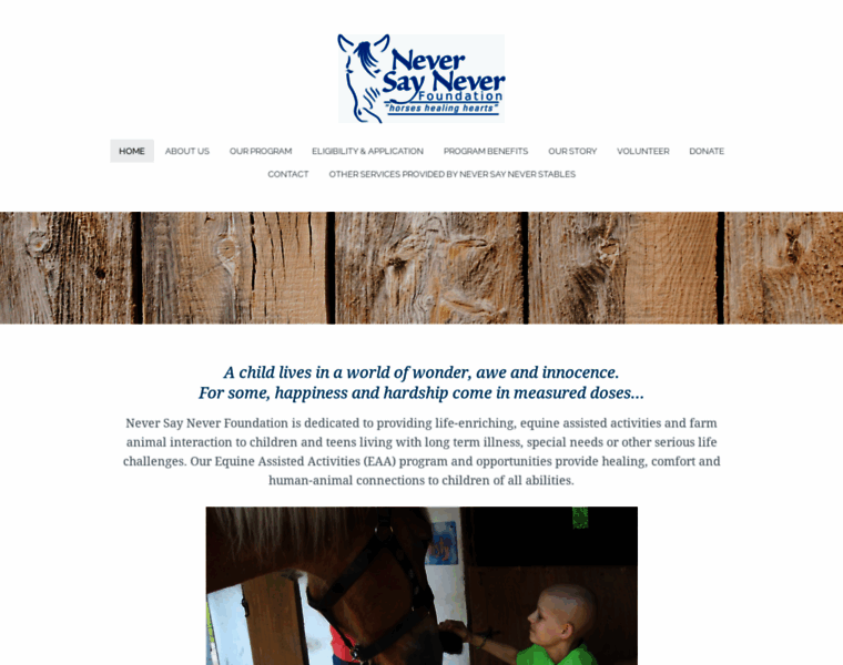 Neversaynever.foundation thumbnail