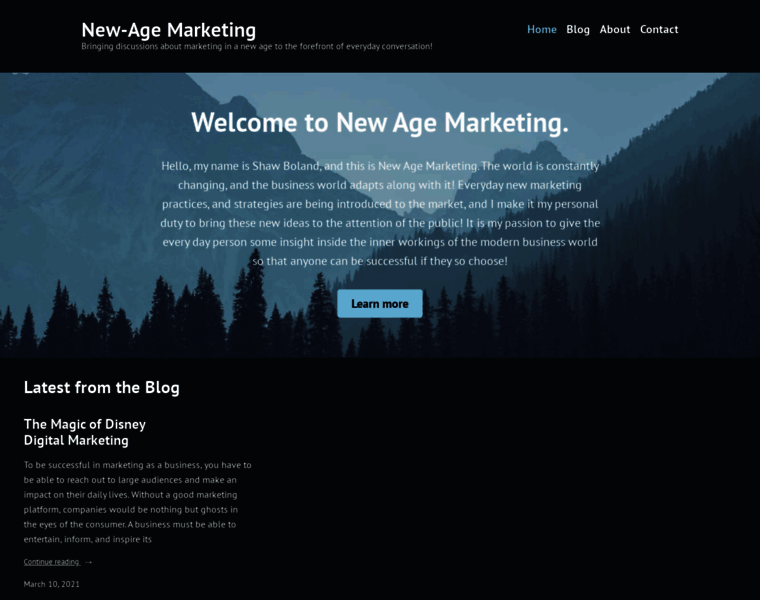 New-age-marketing.com thumbnail