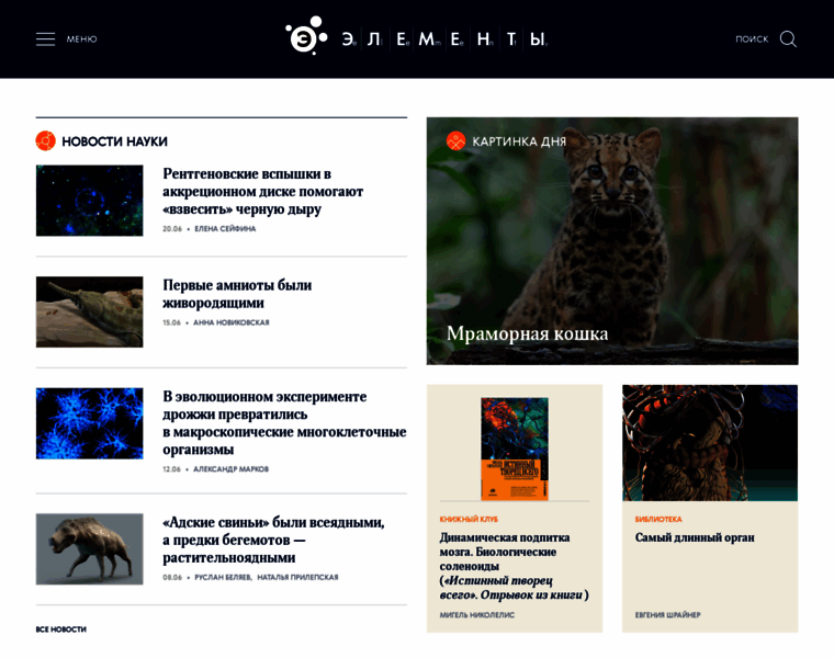 New.elementy.ru thumbnail