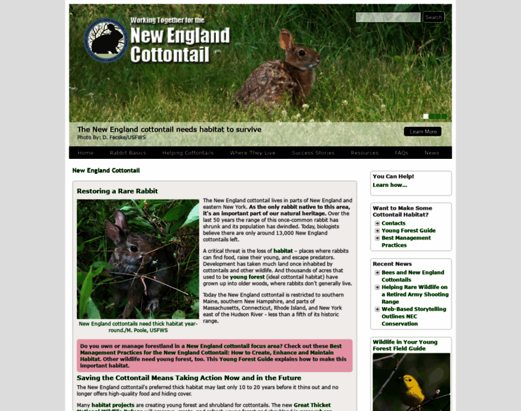 Newenglandcottontail.org thumbnail