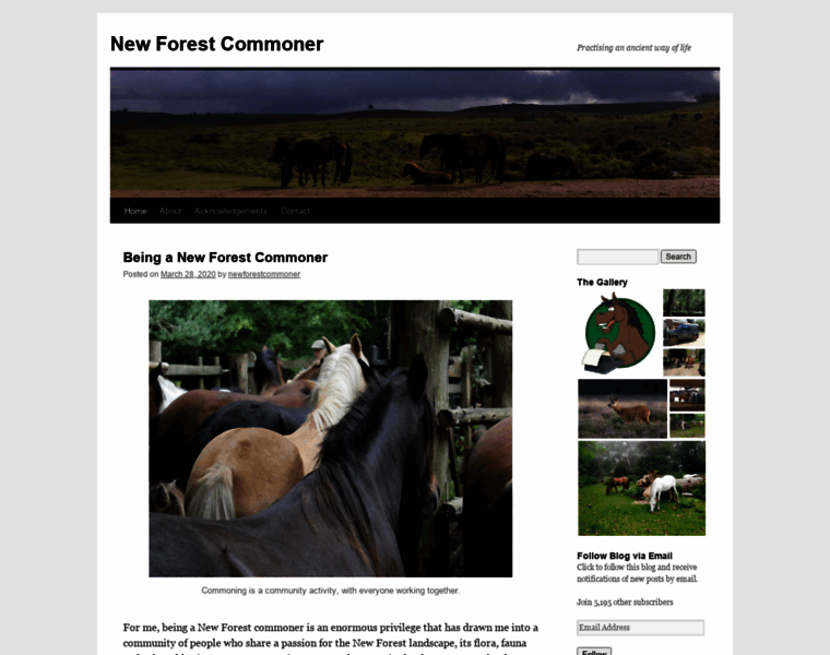 Newforestcommoner.co.uk thumbnail